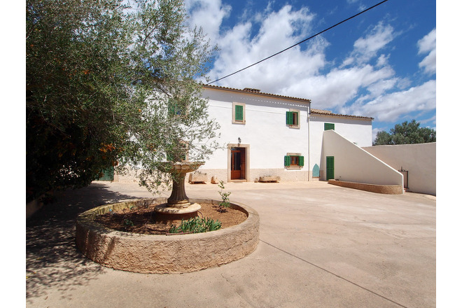 Finca Mara (f425) in Cas Concos Foto 45