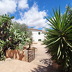 Finca Mara (f425) in Cas Concos Foto 9