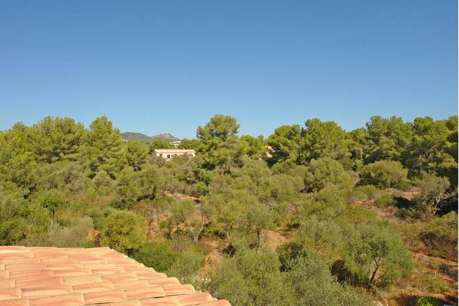 Finca S'Espiga (f434) in Porto Colom Foto 33
