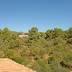 Finca S'Espiga (f434) in Porto Colom Foto 33