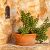 Finca Sierra (f435) in Es Llombards Foto 18