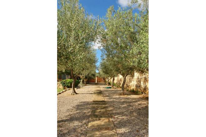 Finca El Olivar (f466) in Cala Llombards Foto 8