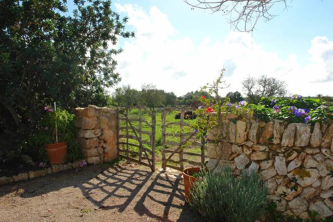 Finca El Olivar (f466) in Cala Llombards Foto 41