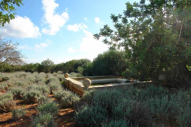 Finca El Olivar (f466) in Cala Llombards Foto 42