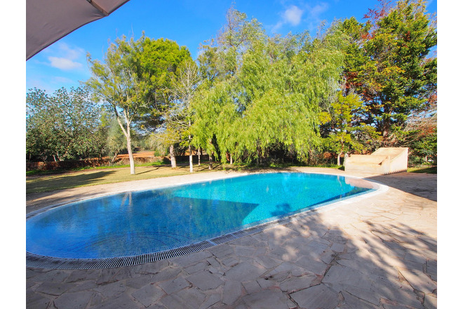 Finca Es Velar (f493) in Campos Foto 35