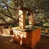 Finca Es Velar (f493) in Campos Foto 34