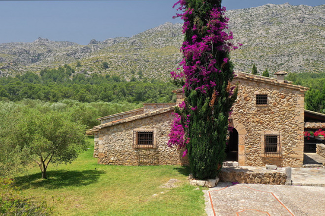 Finca Flora (f501) in Cala Sant Vicenc Foto 4