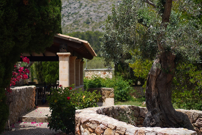 Finca Flora (f501) in Cala Sant Vicenc Foto 5