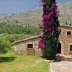 Finca Flora (f501) in Cala Sant Vicenc Foto 4