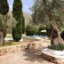 Finca Flora (f501) in Cala Sant Vicenc Foto 9