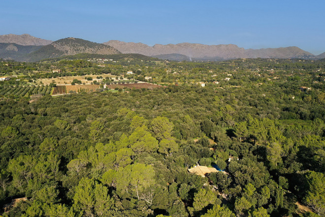 Finca Pedro (f509) in Pollensa Foto 35