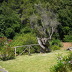 Finca Can Pascol (f522) in Pollensa Foto 24