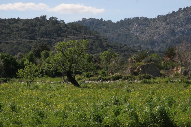 Finca Sureda (f534) in Pollensa Foto 35