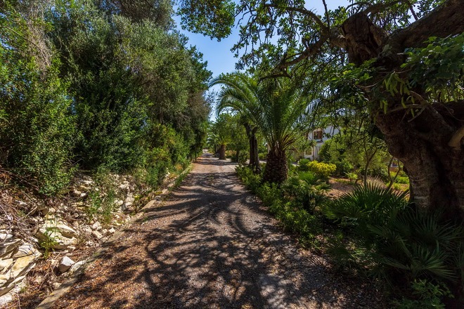 Finca Letizia (f538) in Pollensa Foto 28