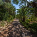 Finca Letizia (f538) in Pollensa Foto 28