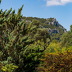 Finca Letizia (f538) in Pollensa Foto 29