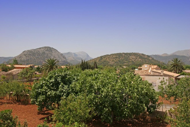 Finca Janina (f542) in Pollensa Foto 4