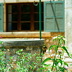 Finca Punta (f546) in Pollensa Foto 30