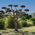 Finca Marisol (f557) in Pollensa Foto 25