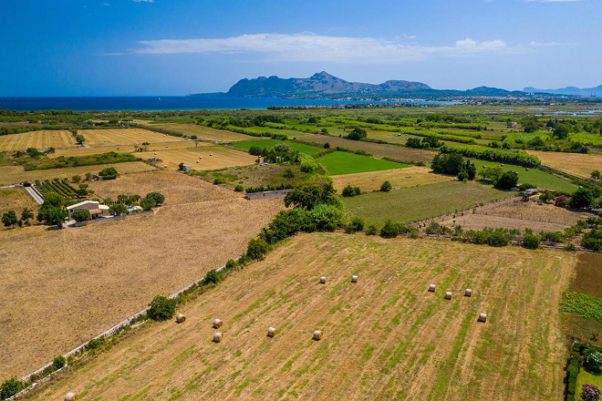 Finca Bosco (f567) in Puerto Pollensa Foto 4