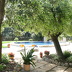 Finca Julieta (f628) in Pollensa Foto 9