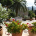 Landhotel Amoixa Vell (h008) in Porto Cristo Foto 8