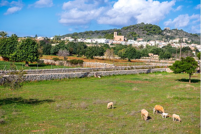 Landhotel Can Bessol (h015) in Cala D'or Foto 30