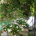 Landhotel Refugio Son Pons (h024) in Campanet Foto 3