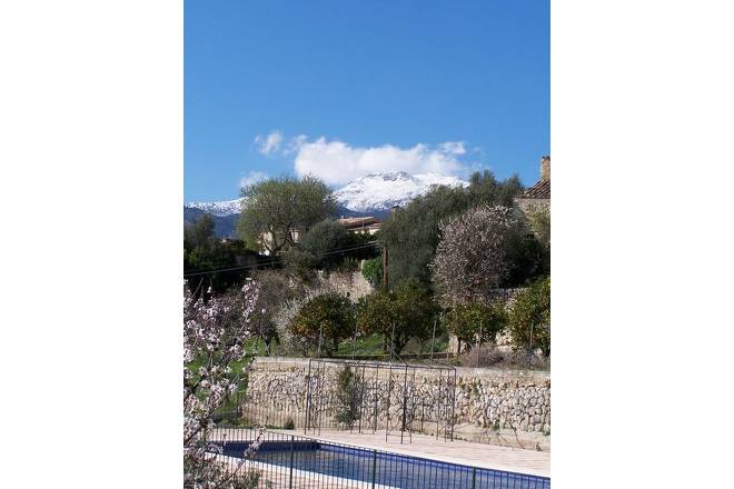 Landhotel Can Riera (h070) in Moscari Foto 30