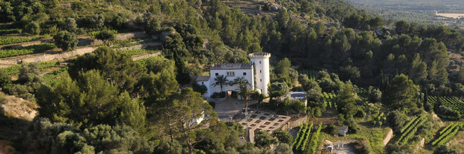 Castell Miguel