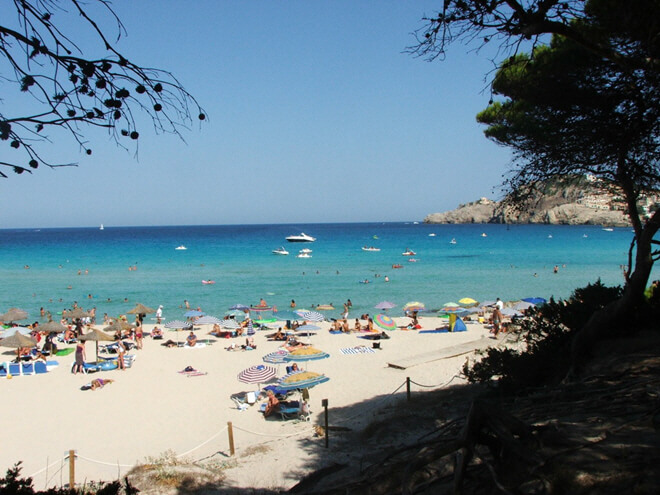 Cala Agulla Strand bei Cala Ratjada