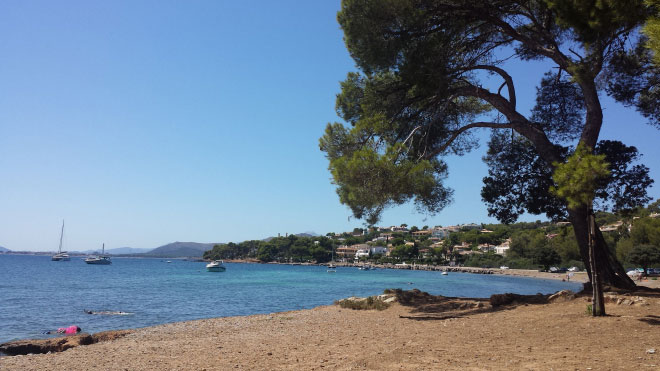 Playa de Alcanada Strand bei Alcúdia